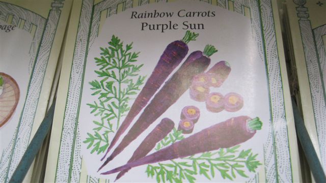 New seed - Purple Carrots
