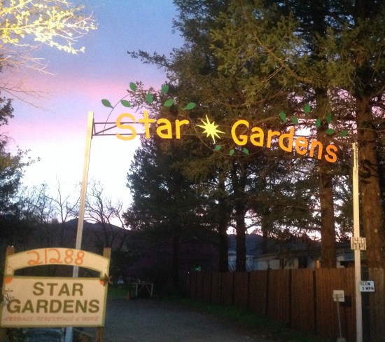 Star-Gardens