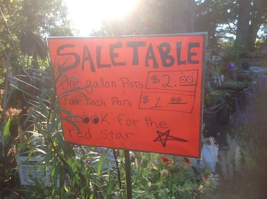 saletable