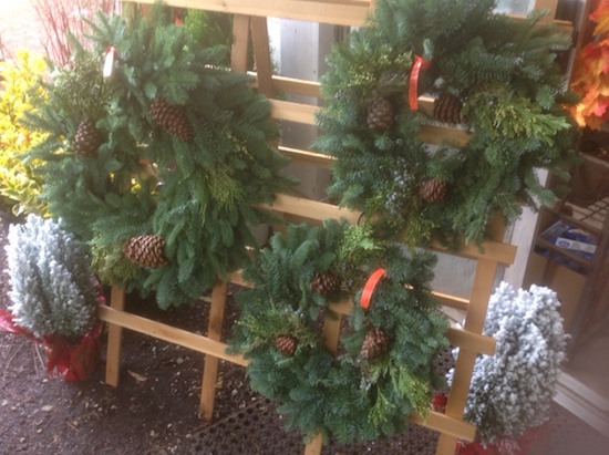 holiday-wreaths